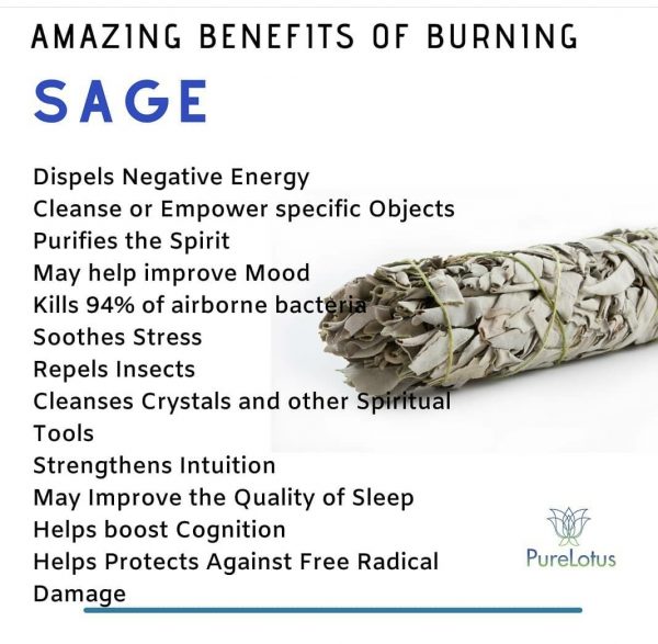 Medium White Sage Stick w/ Lavender 5″ – Smudging Tool - Image 2
