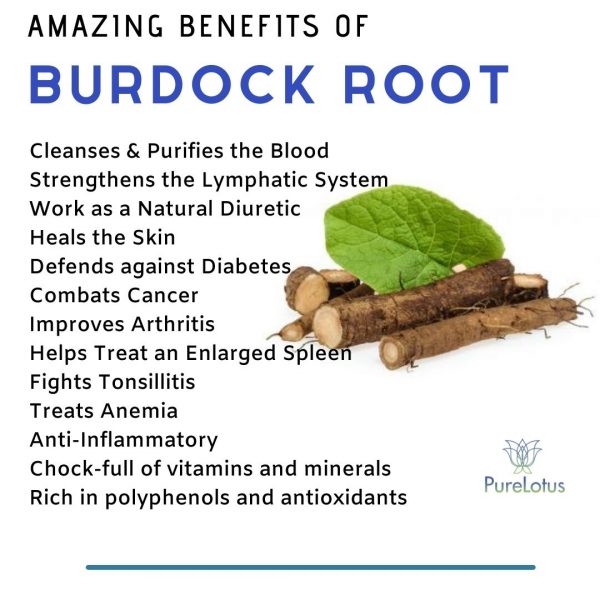 Sea Moss w/ Bladderwrack and Burdock Root Gel - Image 4