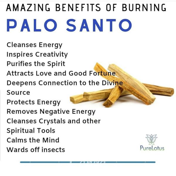 Palo Santo (thick) 4' - Image 2