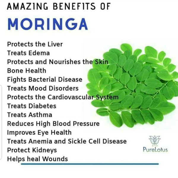 Moringa Mint Tea, 5oz - Image 2