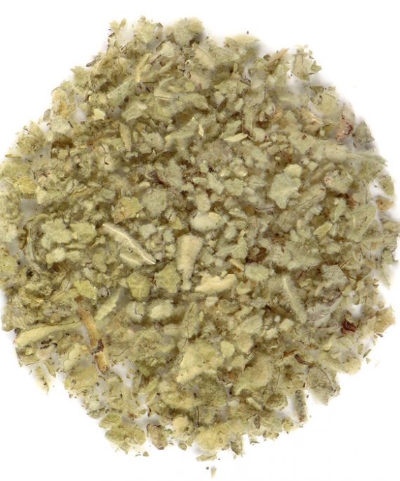 Mullein Leaf