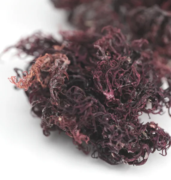 Purple Sea Moss Wholesale