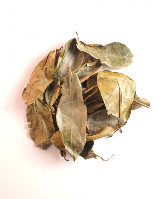 Sour Sop Leaves
