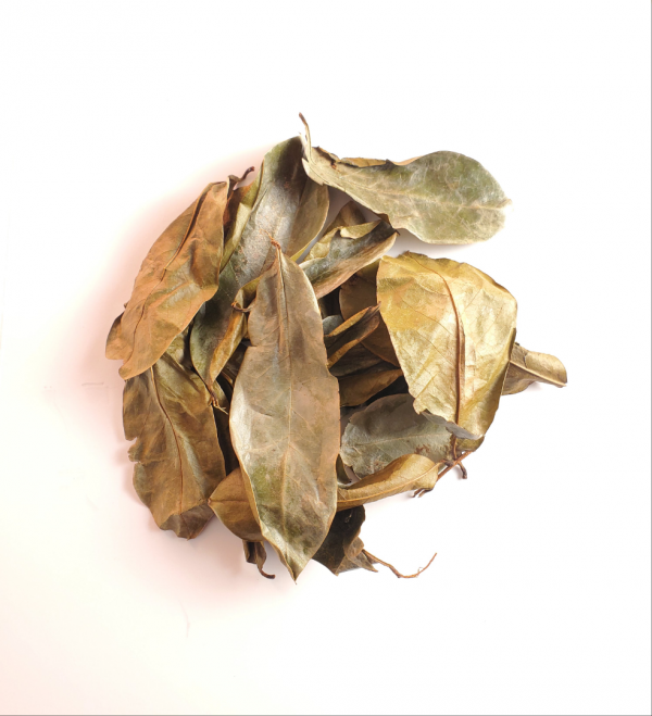 Sour Sop Leaves