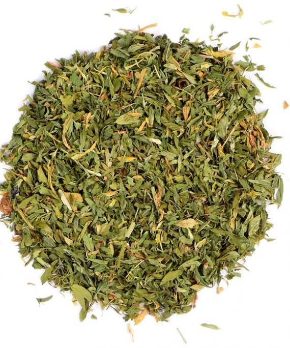 Alfalfa Leaf