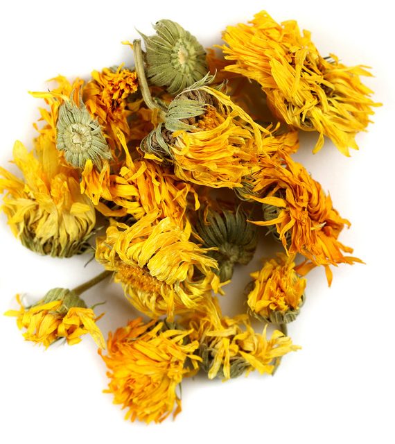 Calendula