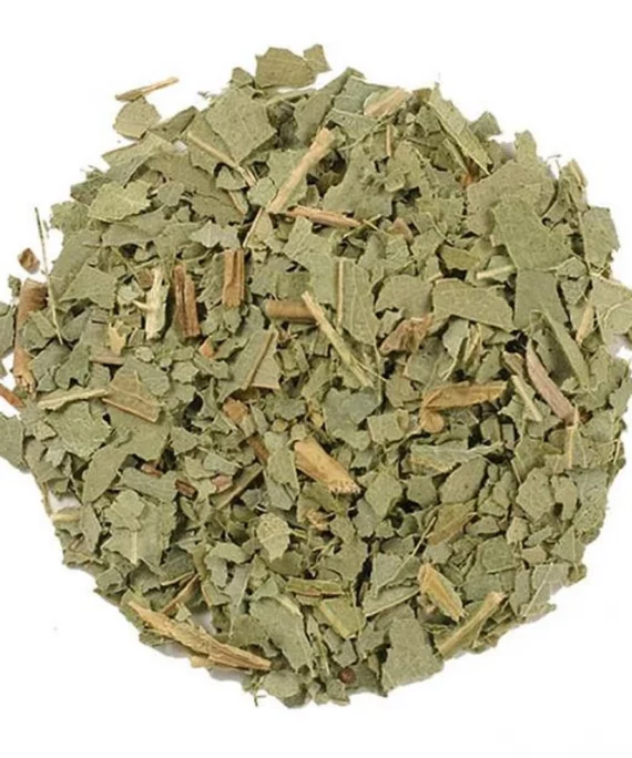 Eucalyptus