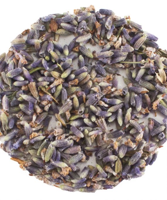 Lavender Buds