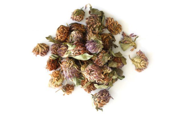 Red Clover