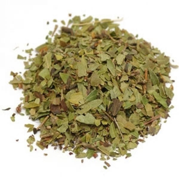 Uva Ursi
